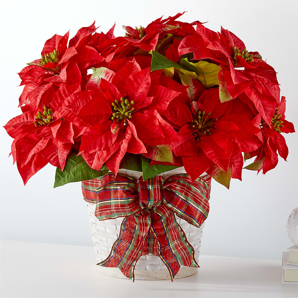 Happiest Holidays Poinsettia – MARGARITA'S FLOWERS LLC, Pembroke Pines FL