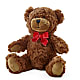 Adorable Plush Bear – MARGARITA'S FLOWERS LLC, Pembroke Pines FL