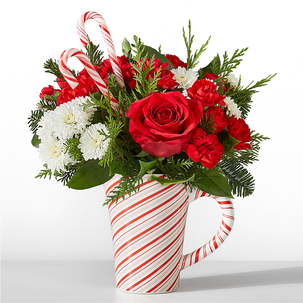 Peppermint Swirl Mug – MARGARITA'S FLOWERS LLC, Pembroke Pines FL