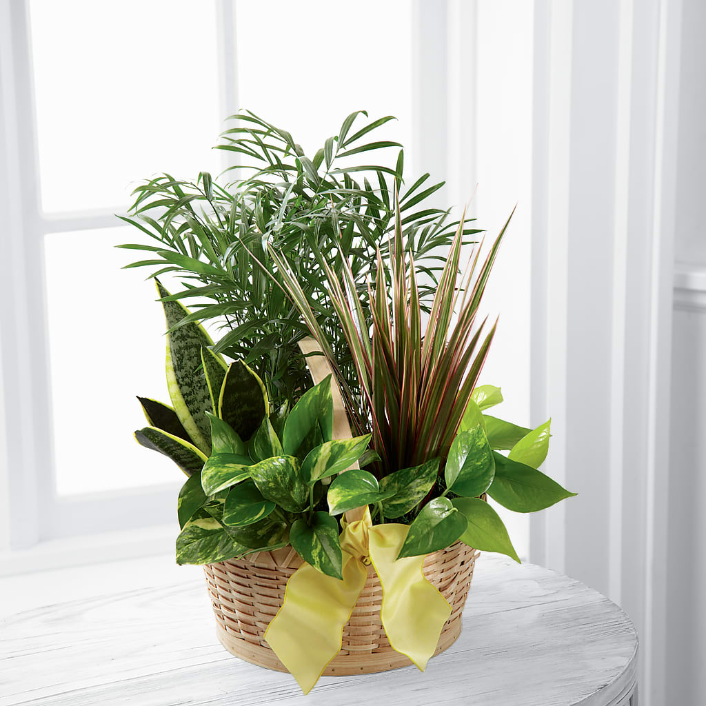 French Garden – MARGARITA'S FLOWERS LLC, Pembroke Pines FL