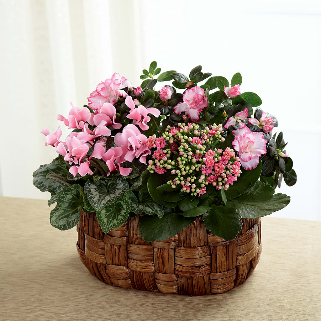 Pink Assortment – MARGARITA'S FLOWERS LLC, Pembroke Pines FL