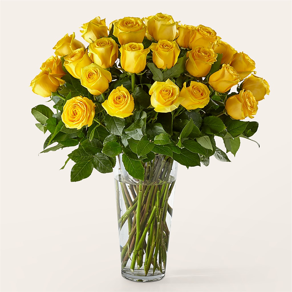Long Stem Yellow Rose Bouquet – MARGARITA'S FLOWERS LLC, Pembroke Pines FL