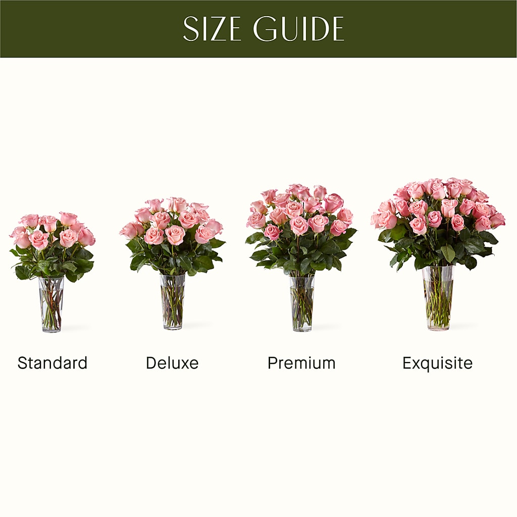 Long Stem Pink Rose Bouquet – MARGARITA'S FLOWERS LLC, Pembroke Pines FL