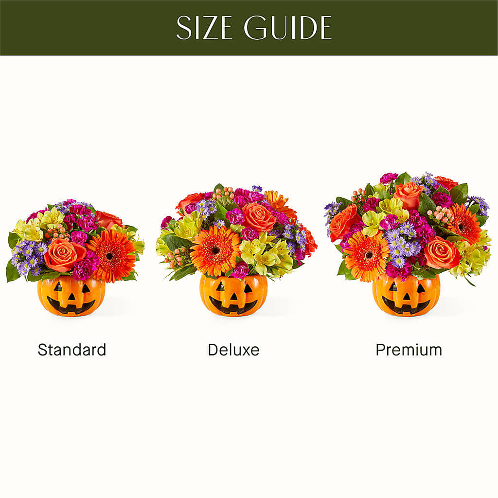 Tricks & Treats Pumpkin – MARGARITA'S FLOWERS LLC, Pembroke Pines FL