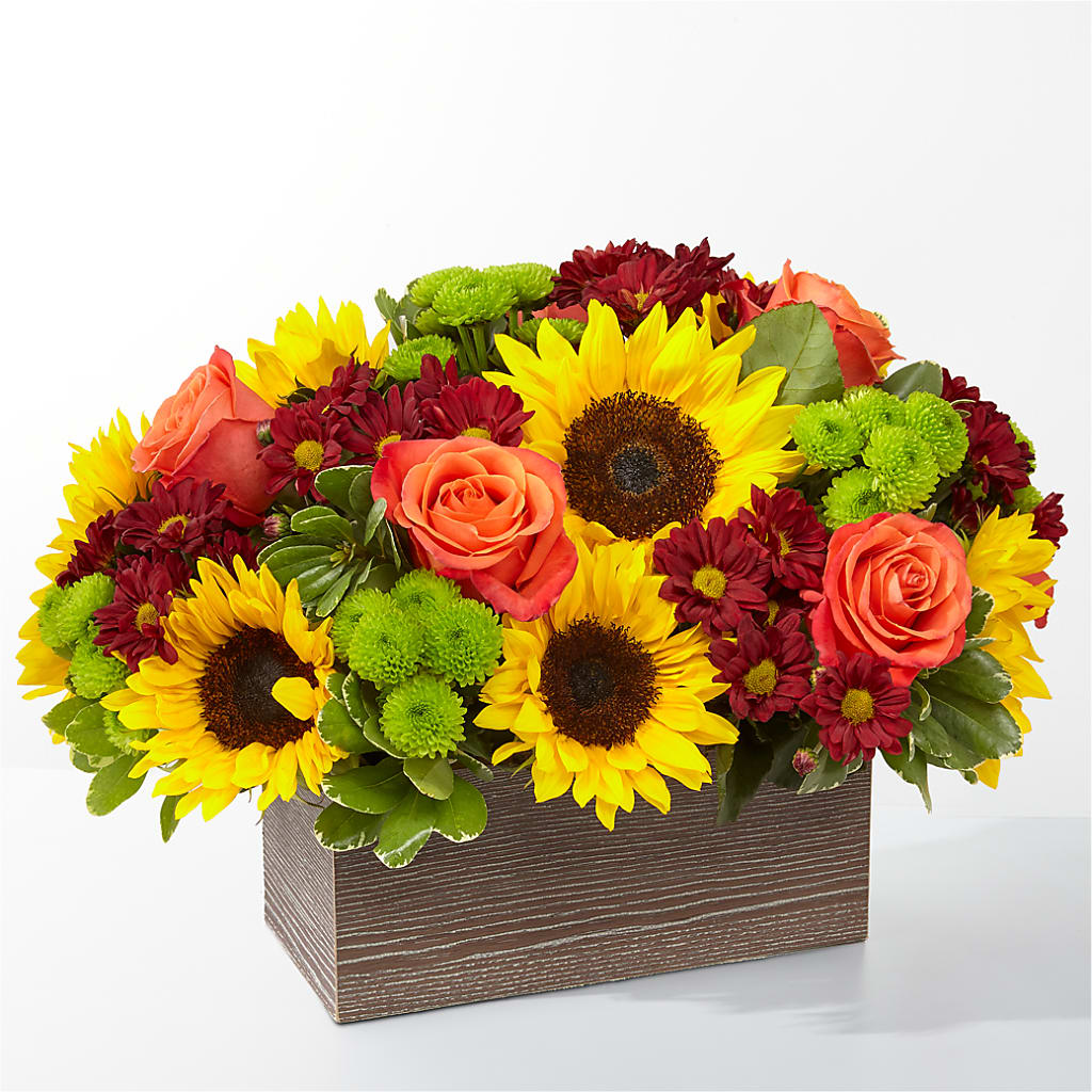 Happy Harvest Garden – MARGARITA'S FLOWERS LLC, Pembroke Pines FL