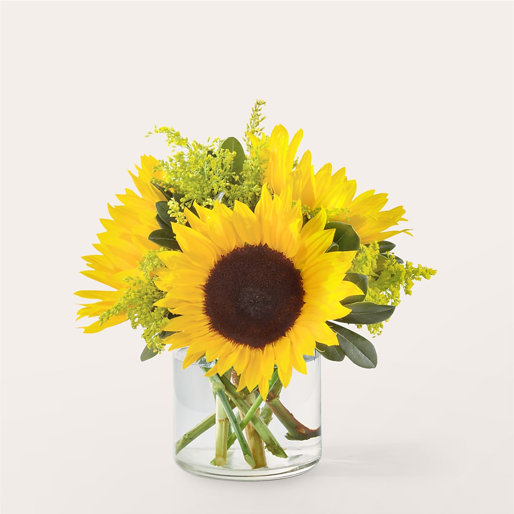 Beaming Sunflower Bouquet – MARGARITA'S FLOWERS LLC, Pembroke Pines FL