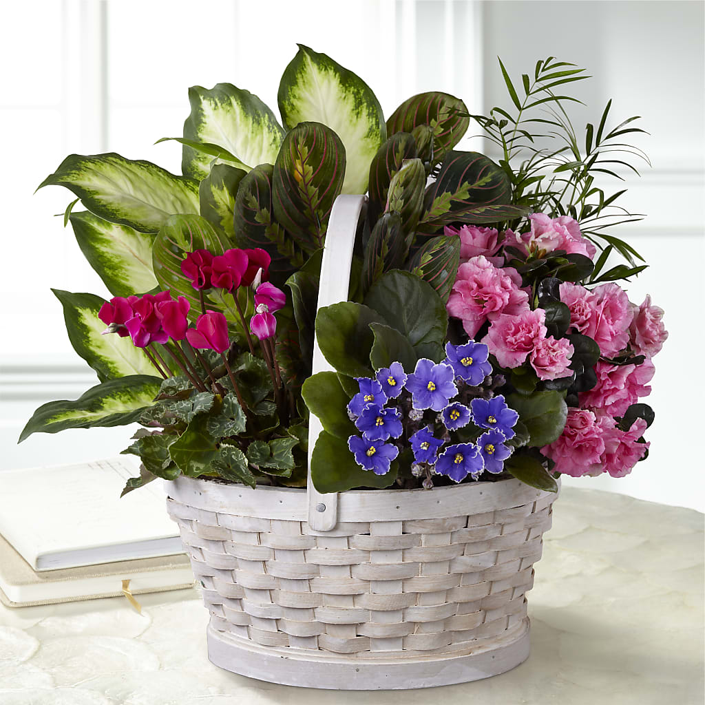 Peaceful Garden Planter – MARGARITA'S FLOWERS LLC, Pembroke Pines FL