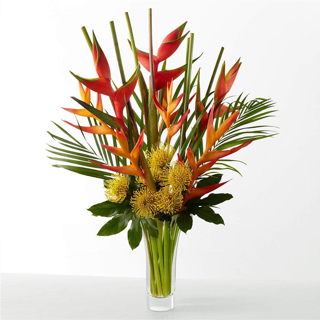 The Drama – MARGARITA'S FLOWERS LLC, Pembroke Pines FL
