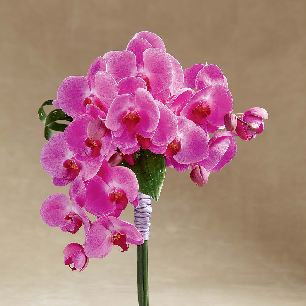 Glorious Bouquet – MARGARITA'S FLOWERS LLC, Pembroke Pines FL