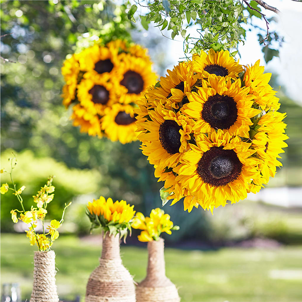 Sublime Garden Hanging Arrangement – MARGARITA'S FLOWERS LLC, Pembroke Pines FL