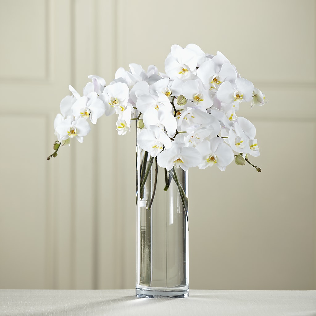 White Phalaenopsis Bouquet – MARGARITA'S FLOWERS LLC, Pembroke Pines FL