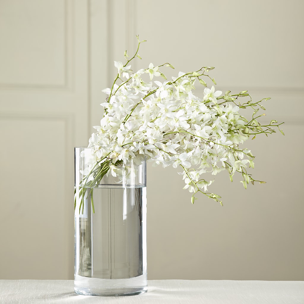White Dendrobium Bouquet – MARGARITA'S FLOWERS LLC, Pembroke Pines FL