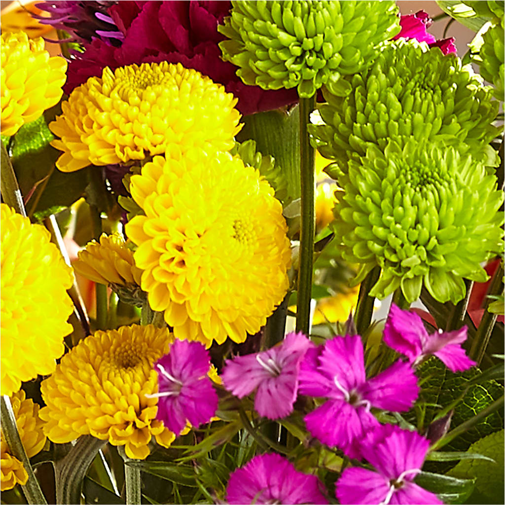 Bold & Bright – A Florist Original – MARGARITA'S FLOWERS LLC, Pembroke Pines FL