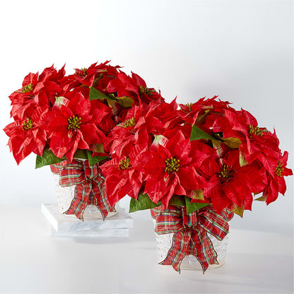 Happiest Holidays Poinsettia Bundle – MARGARITA'S FLOWERS LLC, Pembroke Pines FL