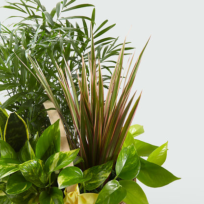 French Garden – MARGARITA'S FLOWERS LLC, Pembroke Pines FL