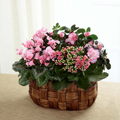 Pink Assortment – MARGARITA'S FLOWERS LLC, Pembroke Pines FL