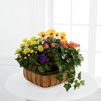 Gentle Blossoms Basket – MARGARITA'S FLOWERS LLC, Pembroke Pines FL
