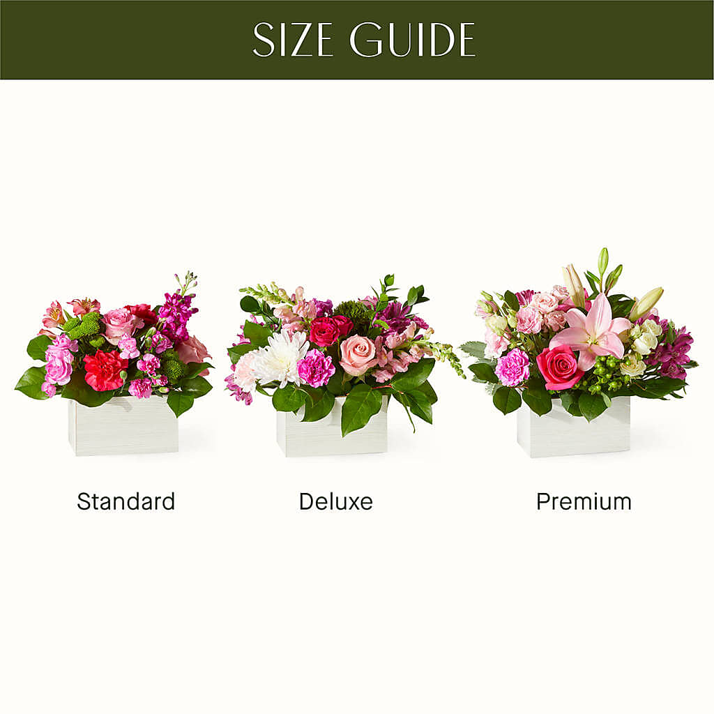 Sweetberry Box – A Florist Original – MARGARITA'S FLOWERS LLC, Pembroke Pines FL