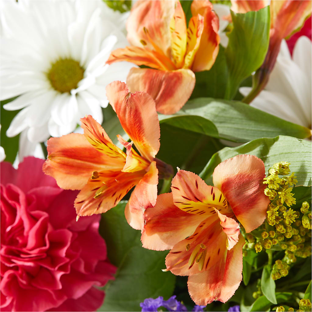 Oopsie Daisy Box Bouquet – MARGARITA'S FLOWERS LLC, Pembroke Pines FL