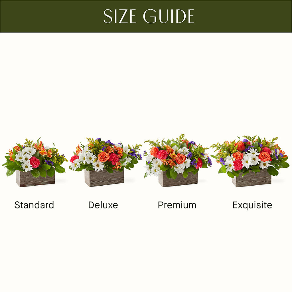 Oopsie Daisy Box Bouquet – MARGARITA'S FLOWERS LLC, Pembroke Pines FL