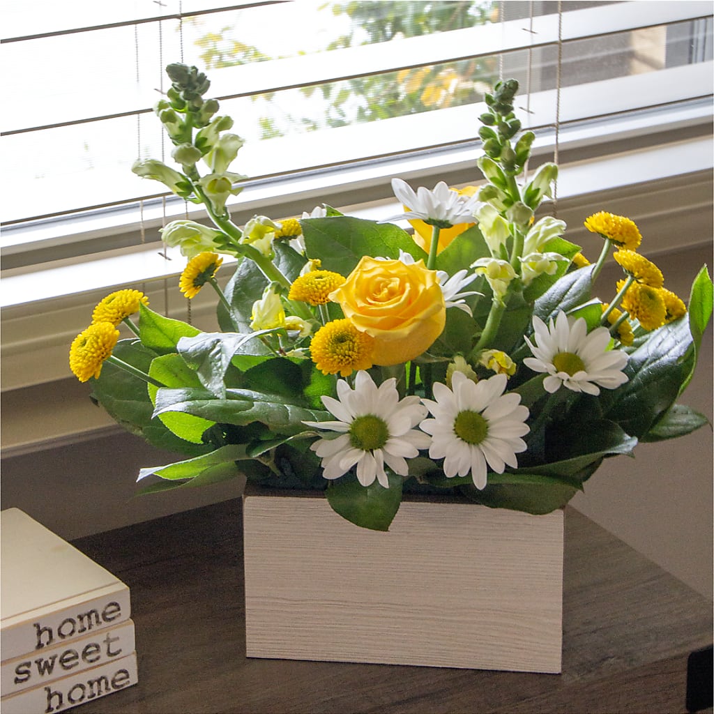 Sun Salutation Box Bouquet – MARGARITA'S FLOWERS LLC, Pembroke Pines FL