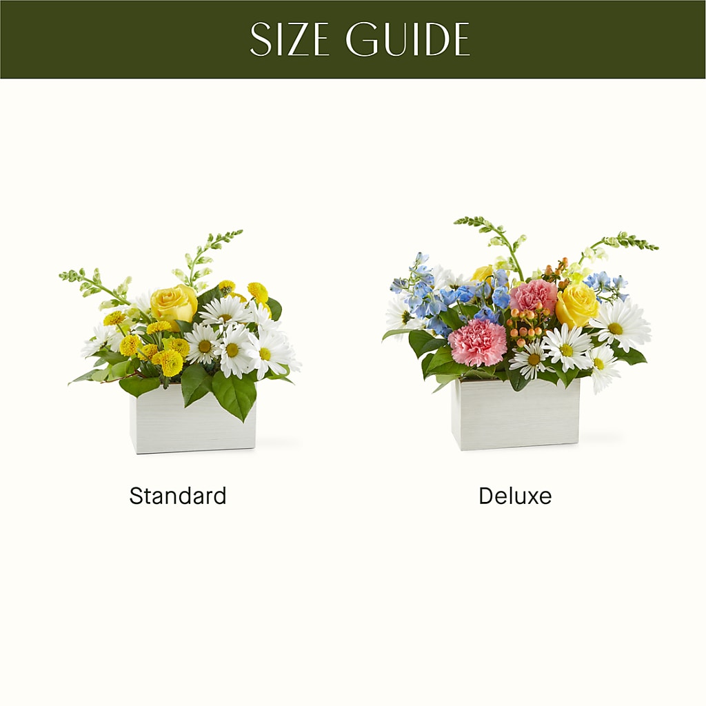 Sun Salutation Box Bouquet – MARGARITA'S FLOWERS LLC, Pembroke Pines FL