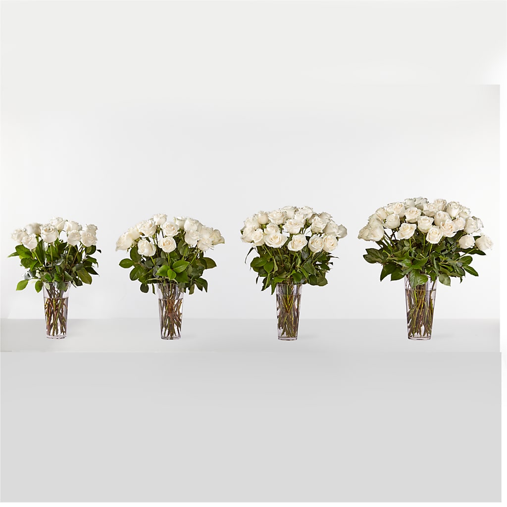 Long Stem White Rose Bouquet – MARGARITA'S FLOWERS LLC, Pembroke Pines FL