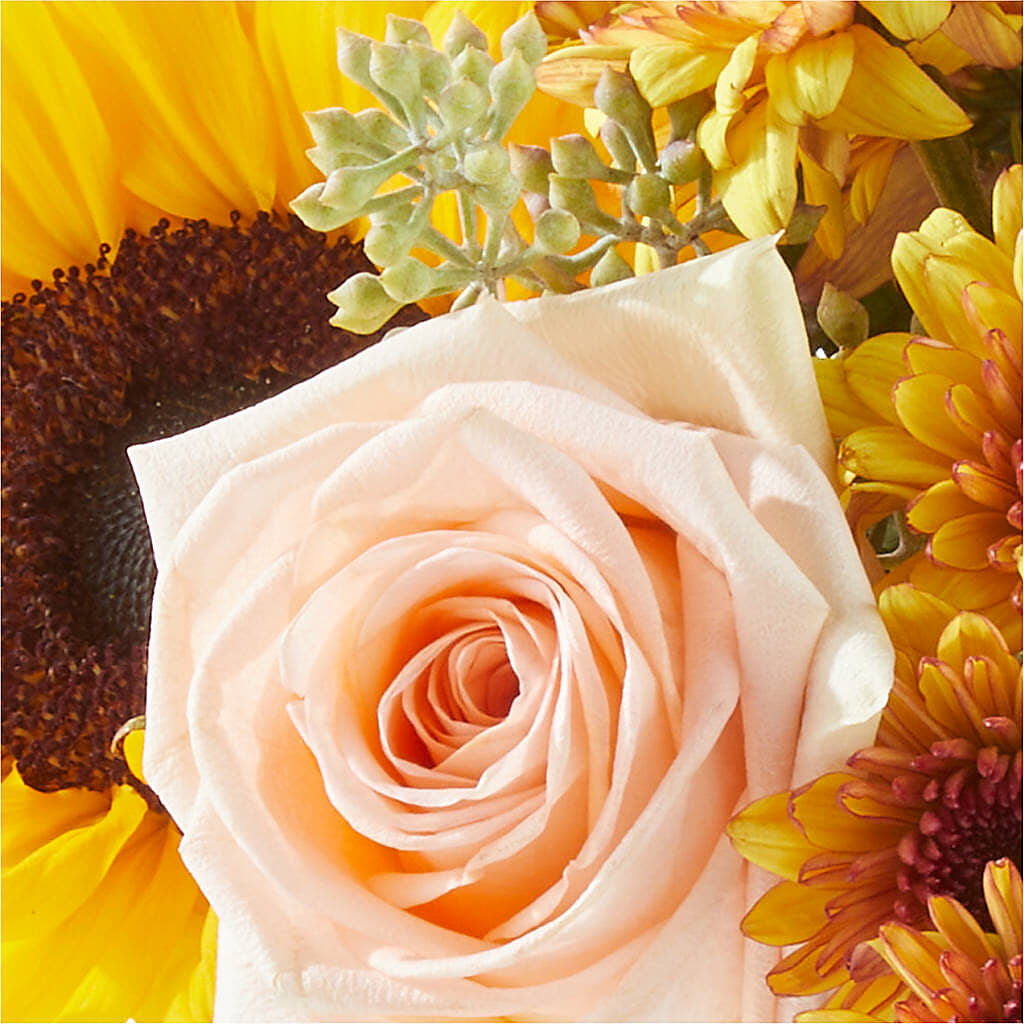 Pumpkin to Talk About Bouquet – MARGARITA'S FLOWERS LLC, Pembroke Pines FL