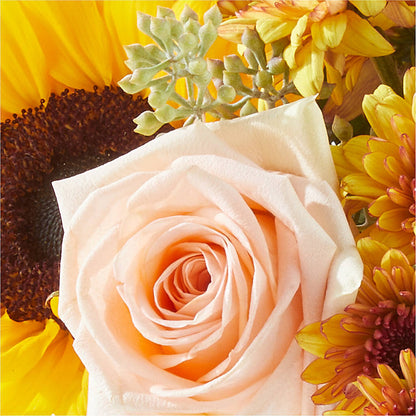 Pumpkin to Talk About Bouquet – MARGARITA'S FLOWERS LLC, Pembroke Pines FL