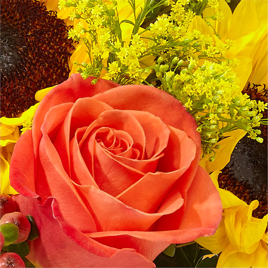Pick of the Patch Pumpkin Bouquet – MARGARITA'S FLOWERS LLC, Pembroke Pines FL