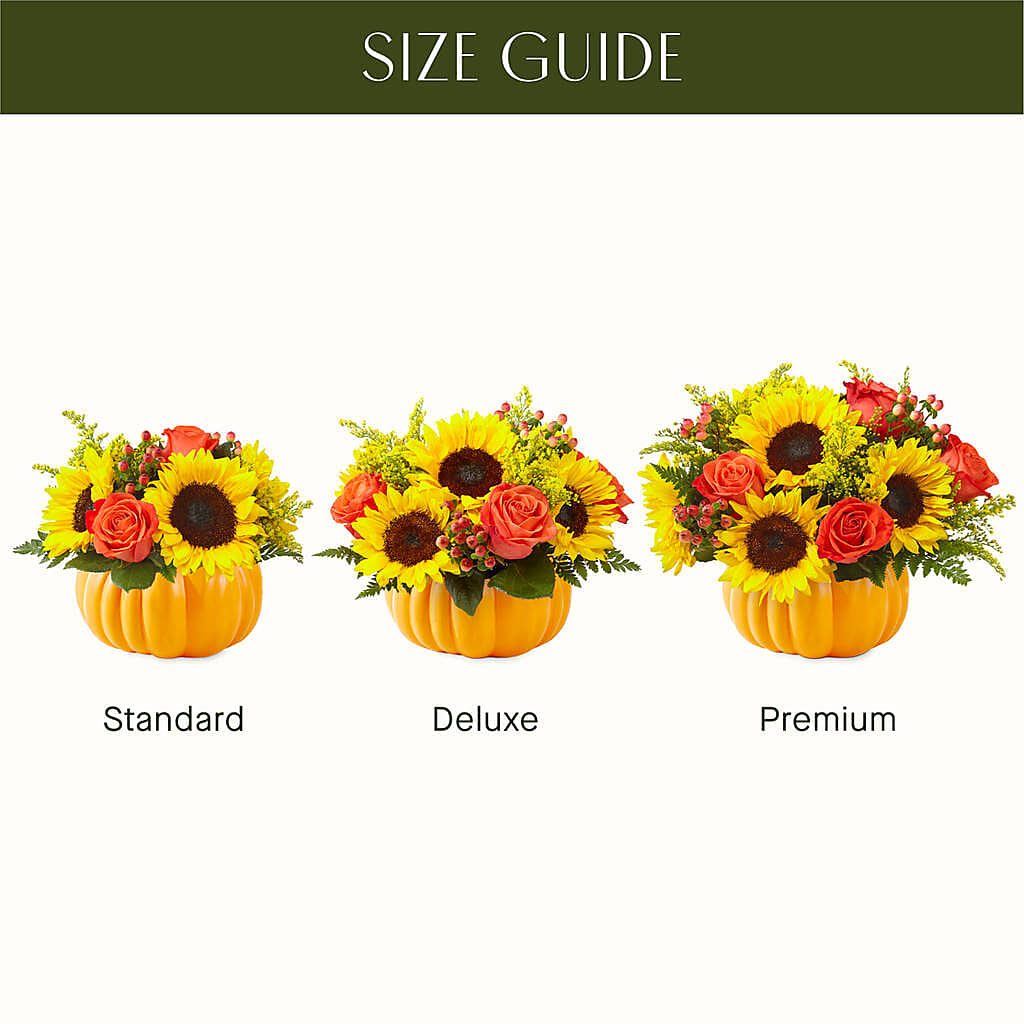 Pick of the Patch Pumpkin Bouquet – MARGARITA'S FLOWERS LLC, Pembroke Pines FL