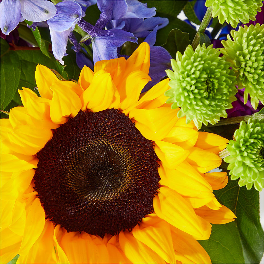 Catching Rays Bouquet – MARGARITA'S FLOWERS LLC, Pembroke Pines FL