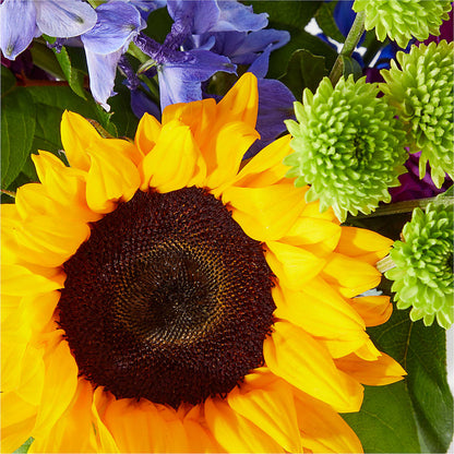 Catching Rays Bouquet – MARGARITA'S FLOWERS LLC, Pembroke Pines FL