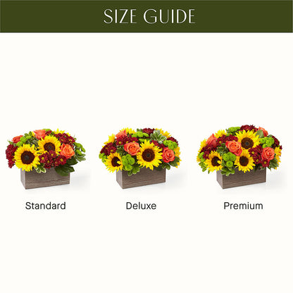 Happy Harvest Garden – MARGARITA'S FLOWERS LLC, Pembroke Pines FL