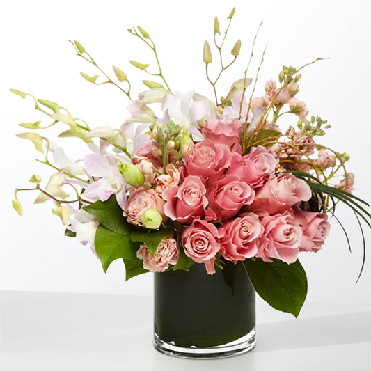 The Muse