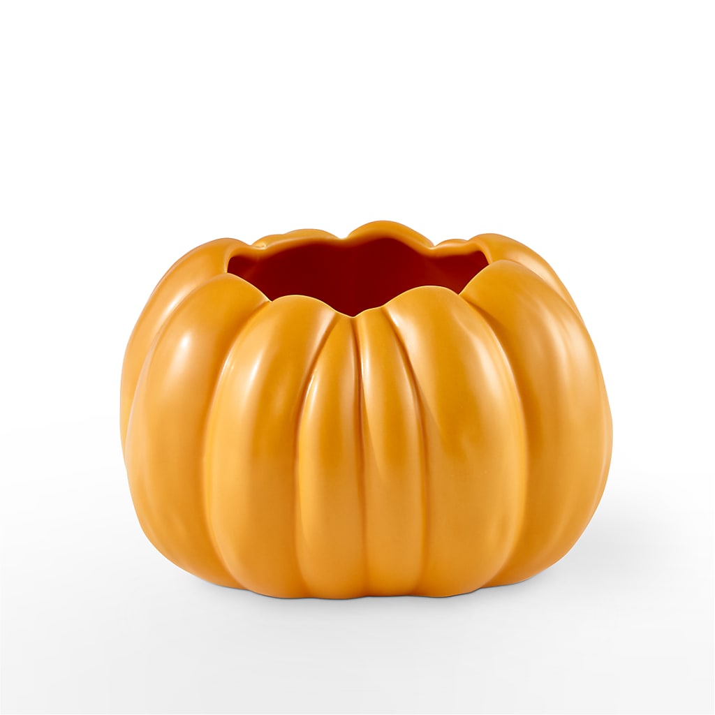 Pick of the Patch Pumpkin Bouquet – MARGARITA'S FLOWERS LLC, Pembroke Pines FL