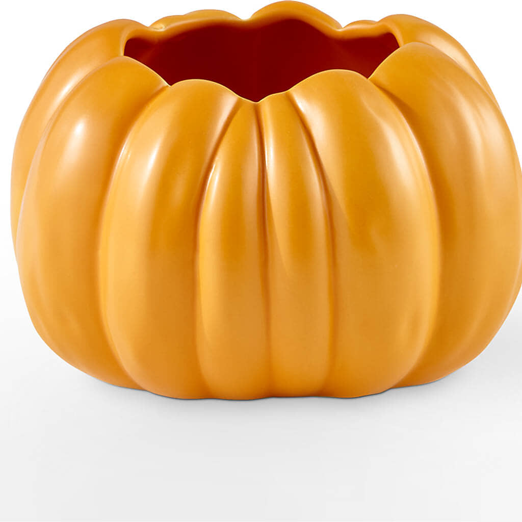 Pick of the Patch Pumpkin Bouquet – MARGARITA'S FLOWERS LLC, Pembroke Pines FL