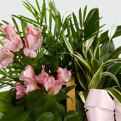 Living Spirit Dishgarden – MARGARITA'S FLOWERS LLC, Pembroke Pines FL