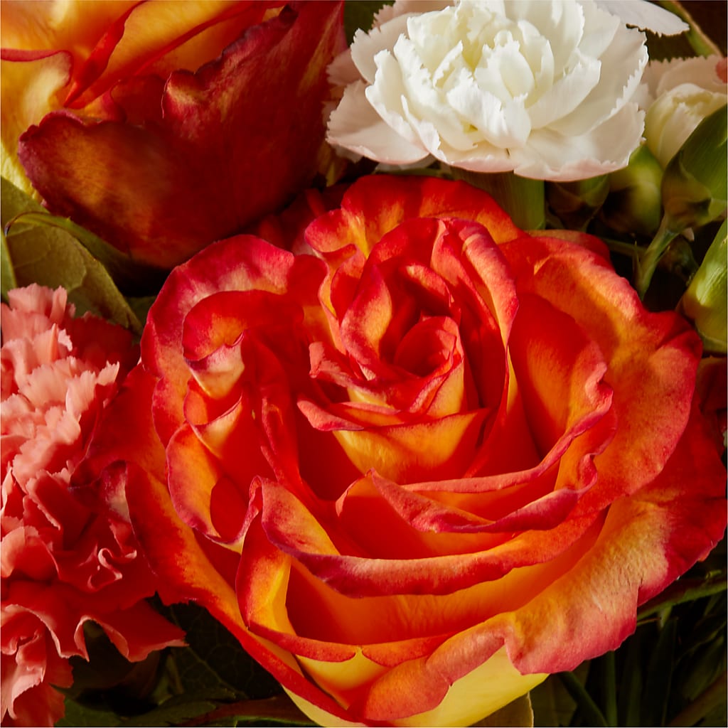 Apricot Glow Bouquet – MARGARITA'S FLOWERS LLC, Pembroke Pines FL