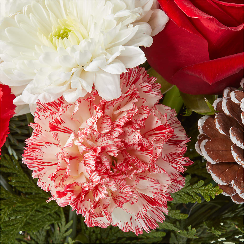 Candy Cane Lane Bouquet – MARGARITA'S FLOWERS LLC, Pembroke Pines FL