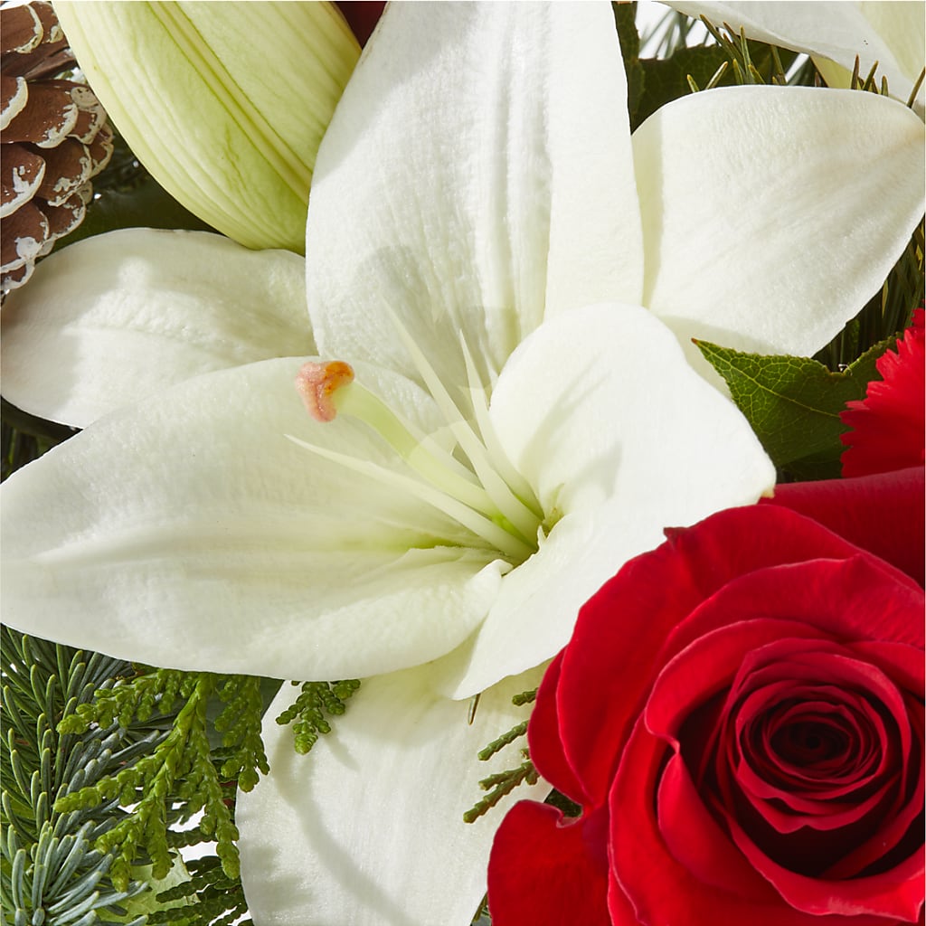 Oh So Jolly Bouquet – MARGARITA'S FLOWERS LLC, Pembroke Pines FL