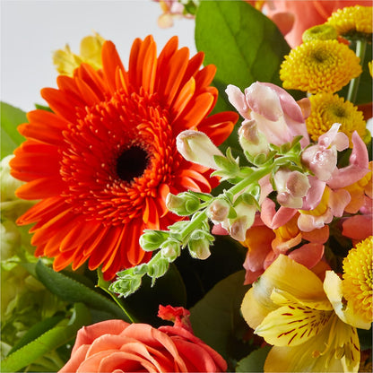 Autumn Sunshine Bouquet – MARGARITA'S FLOWERS LLC, Pembroke Pines FL