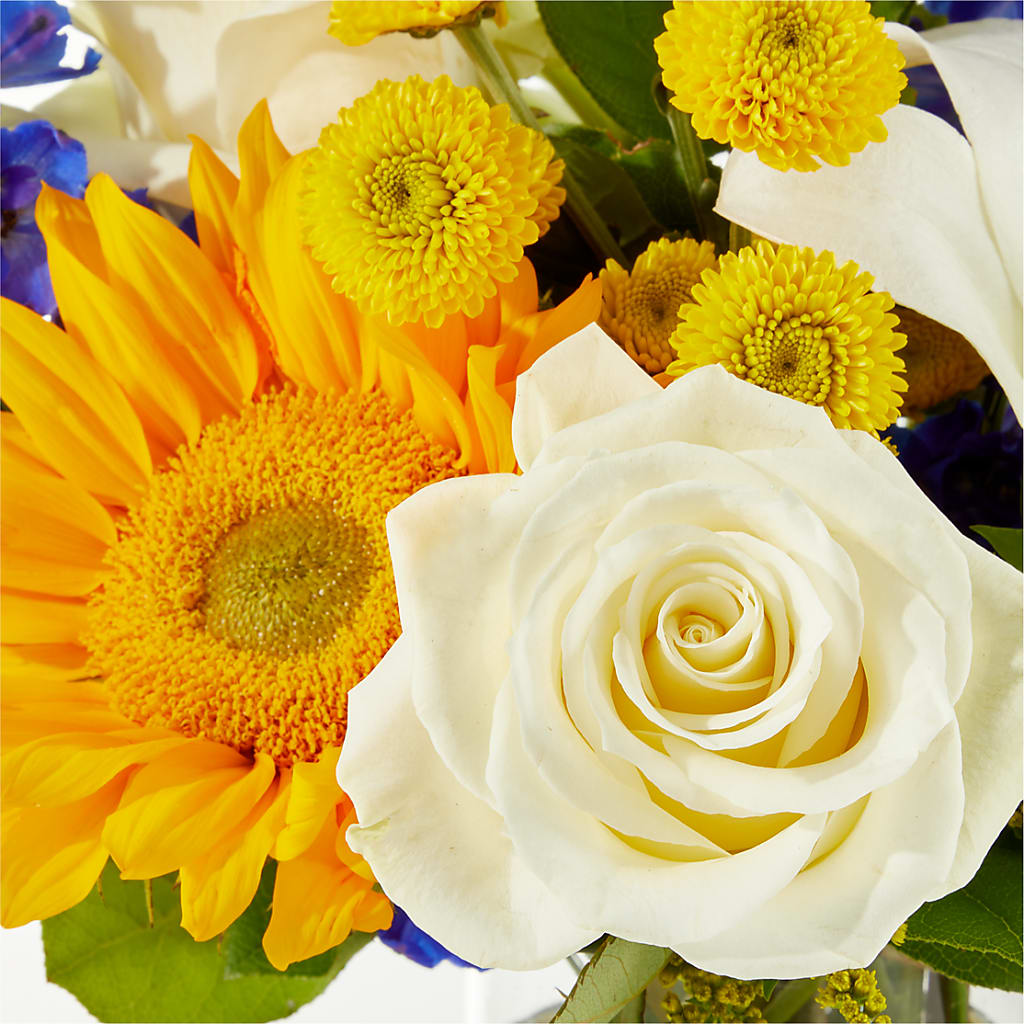 Stargazing Bouquet – MARGARITA'S FLOWERS LLC, Pembroke Pines FL