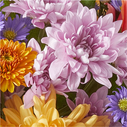 Countryside Bouquet – MARGARITA'S FLOWERS LLC, Pembroke Pines FL