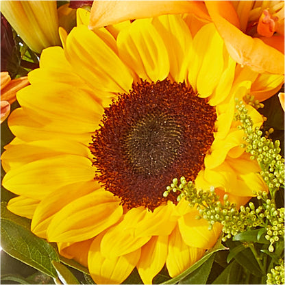 Seasons Change Bouquet – MARGARITA'S FLOWERS LLC, Pembroke Pines FL