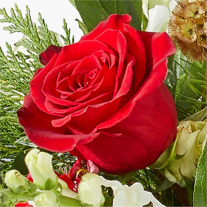 Deck the Halls Bouquet – MARGARITA'S FLOWERS LLC, Pembroke Pines FL