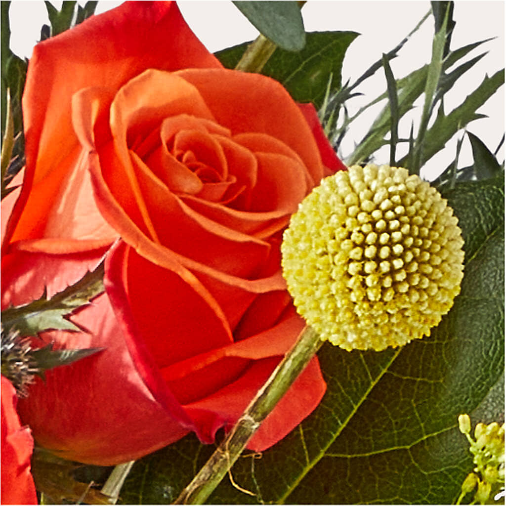 Disco Bouquet – MARGARITA'S FLOWERS LLC, Pembroke Pines FL