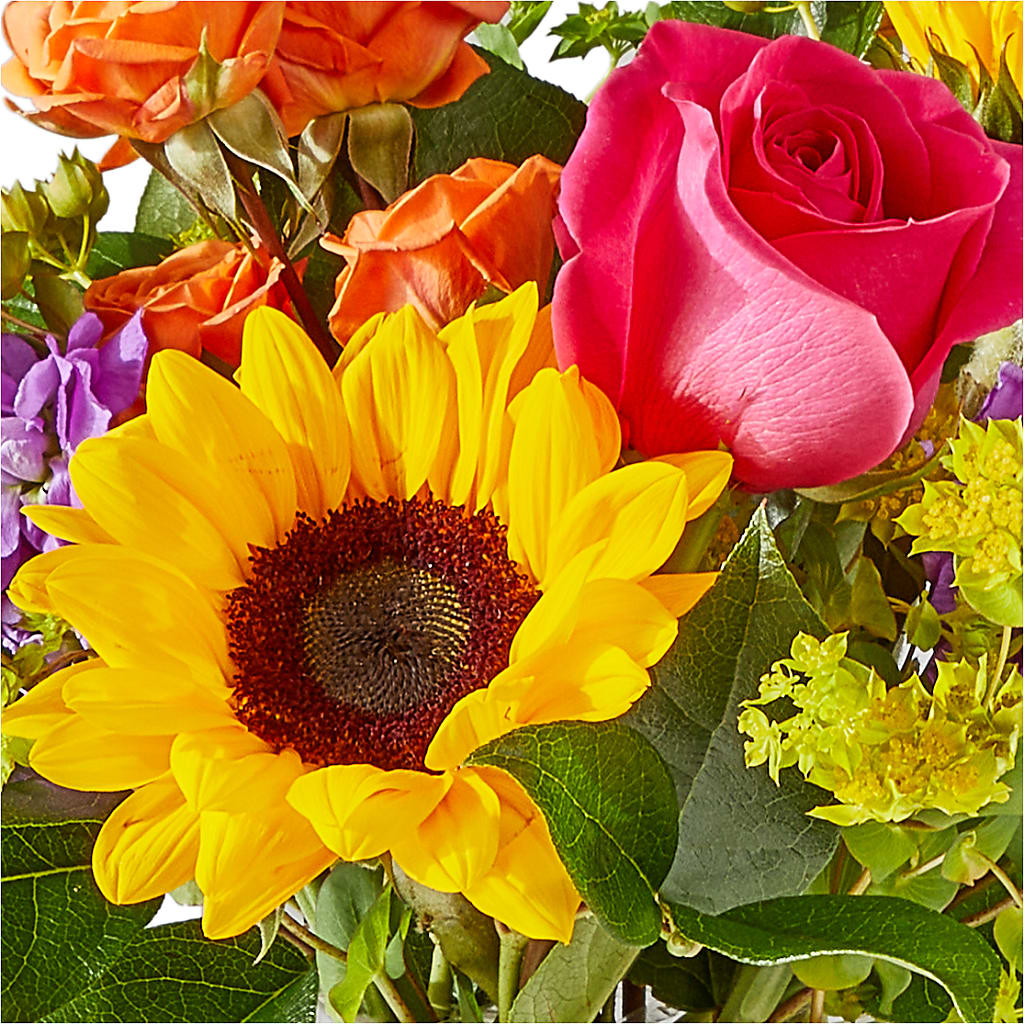 Vibrant Greetings Bouquet – MARGARITA'S FLOWERS LLC, Pembroke Pines FL