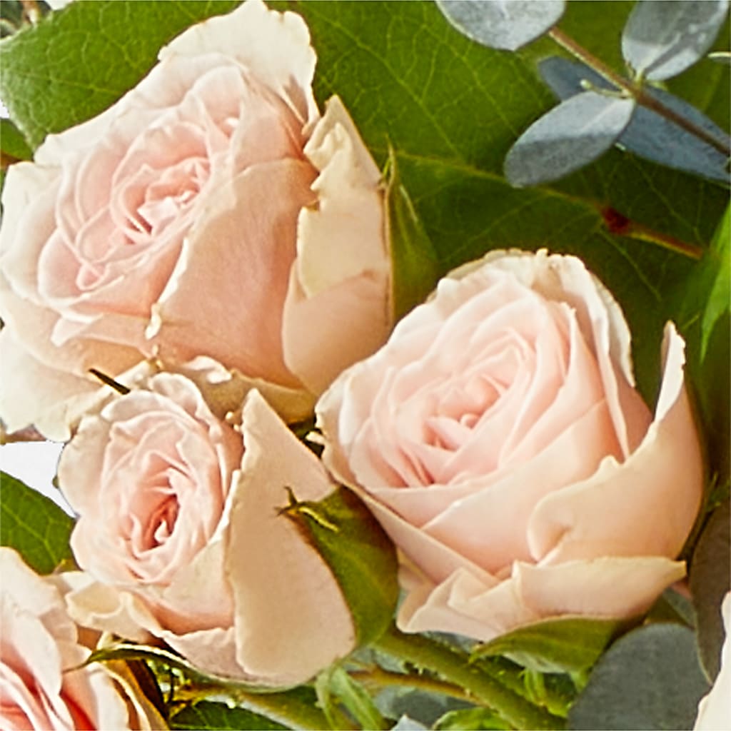 Inspired Bouquet – MARGARITA'S FLOWERS LLC, Pembroke Pines FL