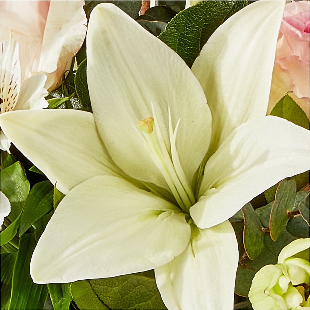 Ballet Slippers Bouquet – MARGARITA'S FLOWERS LLC, Pembroke Pines FL